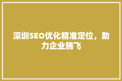 深圳SEO优化精准定位，助力企业腾飞 网站建设公司