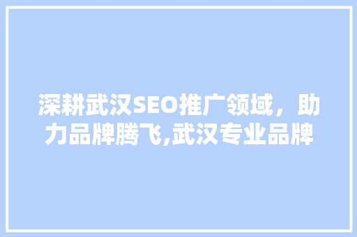 深耕武汉SEO推广领域，助力品牌腾飞,武汉专业品牌推广公司全面 网站建设公司