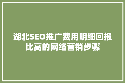 湖北SEO推广费用明细回报比高的网络营销步骤 神马SEO