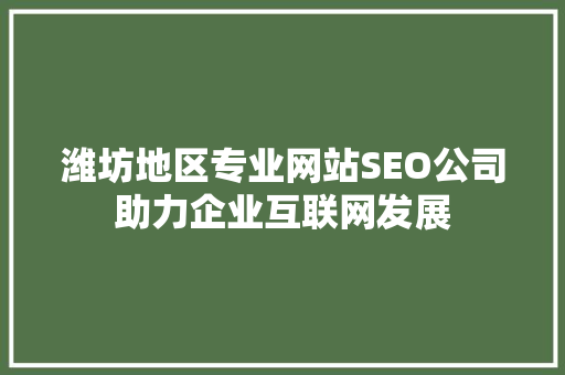 潍坊地区专业网站SEO公司助力企业互联网发展