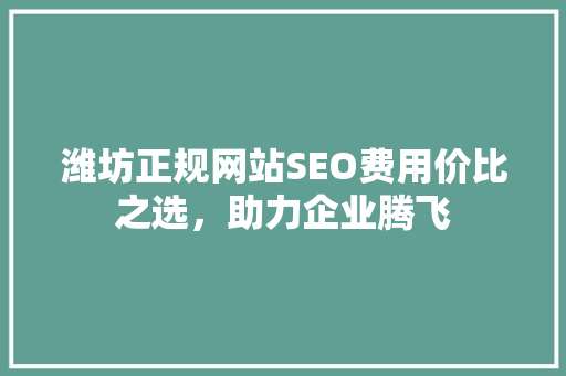 潍坊正规网站SEO费用价比之选，助力企业腾飞 神马SEO