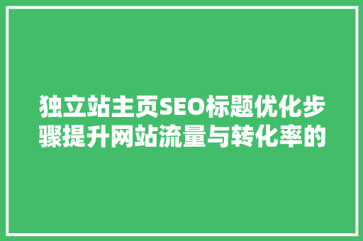 独立站主页SEO标题优化步骤提升网站流量与转化率的方法 SEO关键词