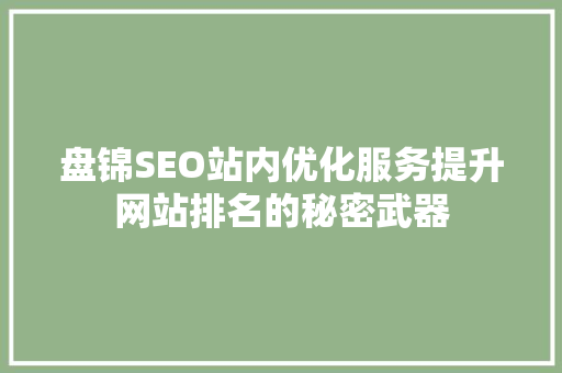盘锦SEO站内优化服务提升网站排名的秘密武器