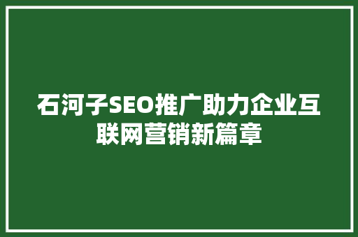 石河子SEO推广助力企业互联网营销新篇章