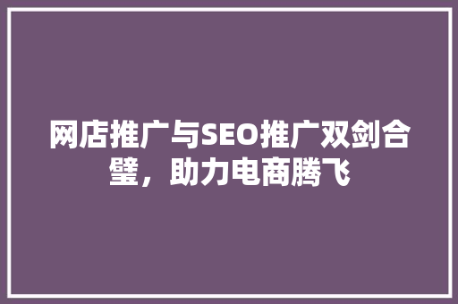 网店推广与SEO推广双剑合璧，助力电商腾飞 神马SEO