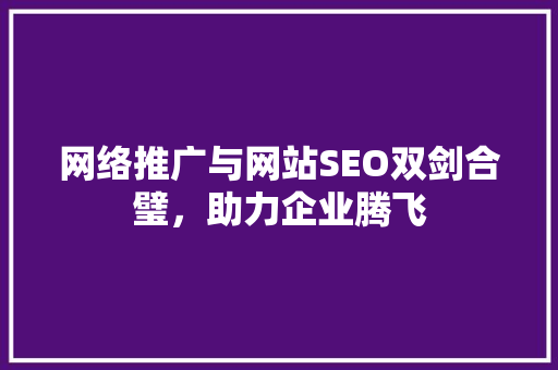 网络推广与网站SEO双剑合璧，助力企业腾飞 网站建设公司