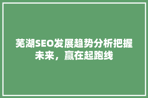 芜湖SEO发展趋势分析把握未来，赢在起跑线