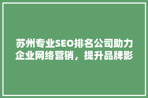 苏州专业SEO排名公司助力企业网络营销，提升品牌影响力