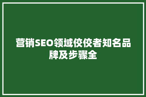 营销SEO领域佼佼者知名品牌及步骤全 网站建设公司