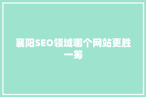 襄阳SEO领域哪个网站更胜一筹