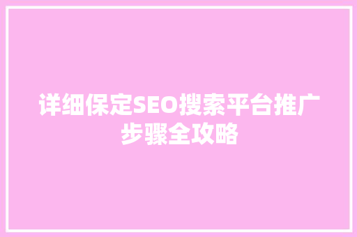 详细保定SEO搜索平台推广步骤全攻略 百度SEO