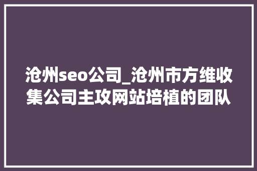 沧州seo公司_沧州市方维收集公司主攻网站培植的团队 沧州seo公司_沧州市方维收集公司主攻网站培植的团队 必应SEO