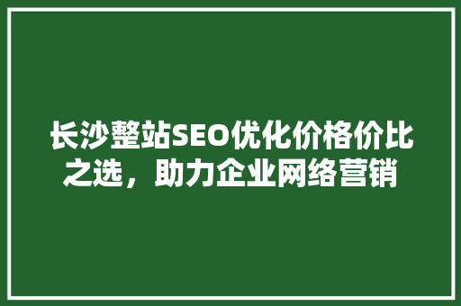 长沙整站SEO优化价格价比之选，助力企业网络营销