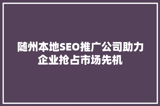 随州本地SEO推广公司助力企业抢占市场先机