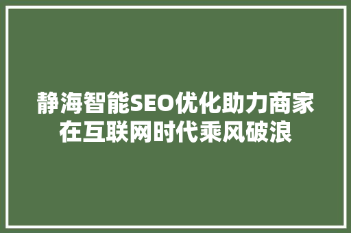 静海智能SEO优化助力商家在互联网时代乘风破浪