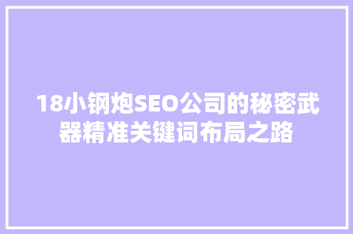 18小钢炮SEO公司的秘密武器精准关键词布局之路 神马SEO
