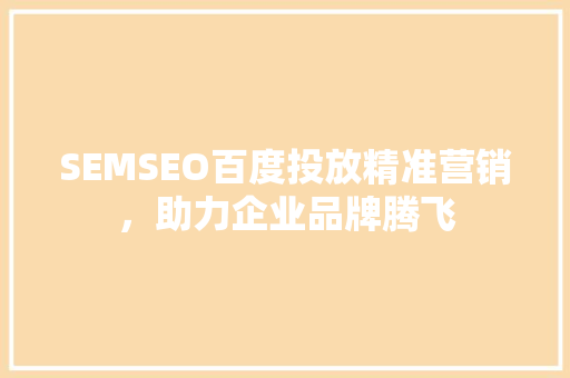 SEMSEO百度投放精准营销，助力企业品牌腾飞
