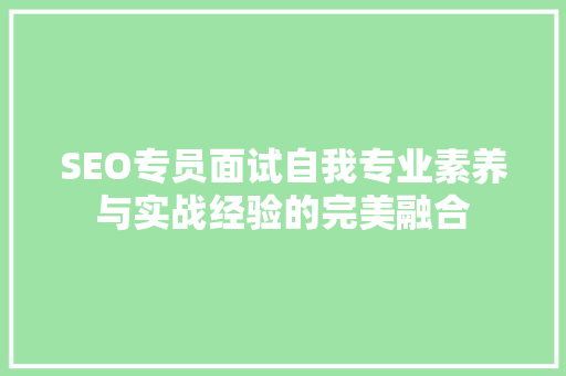 SEO专员面试自我专业素养与实战经验的完美融合