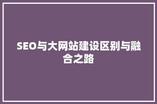 SEO与大网站建设区别与融合之路 神马SEO