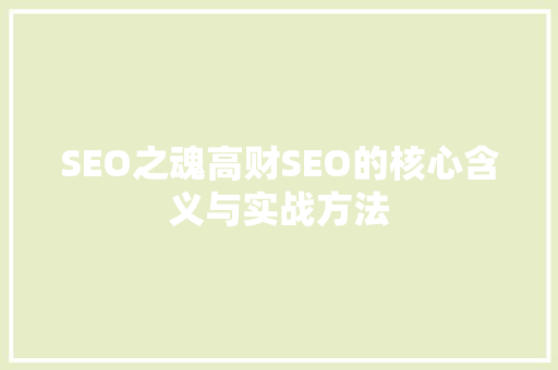 SEO之魂高财SEO的核心含义与实战方法 神马SEO