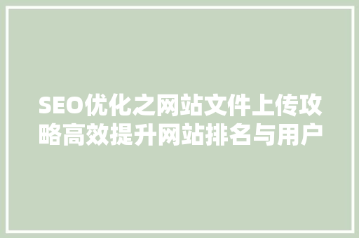 SEO优化之网站文件上传攻略高效提升网站排名与用户体验 必应SEO