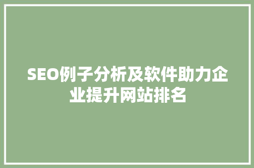 SEO例子分析及软件助力企业提升网站排名
