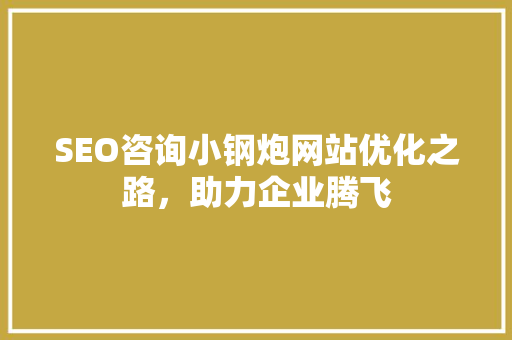 SEO咨询小钢炮网站优化之路，助力企业腾飞 必应SEO