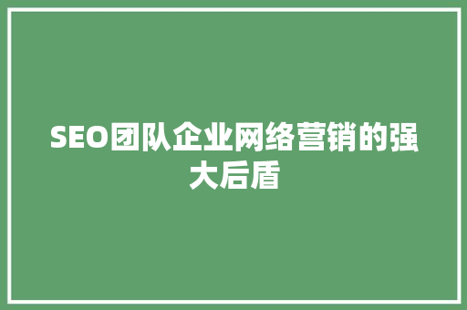 SEO团队企业网络营销的强大后盾 百度SEO