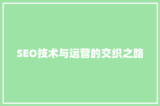 SEO技术与运营的交织之路 必应SEO