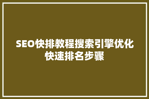 SEO快排教程搜索引擎优化快速排名步骤 SEO关键词