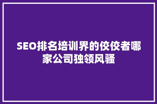 SEO排名培训界的佼佼者哪家公司独领风骚 必应SEO