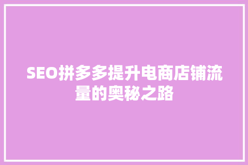 SEO拼多多提升电商店铺流量的奥秘之路 必应SEO