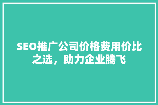 SEO推广公司价格费用价比之选，助力企业腾飞 神马SEO