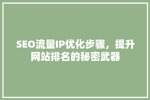SEO流量IP优化步骤，提升网站排名的秘密武器 百度SEO