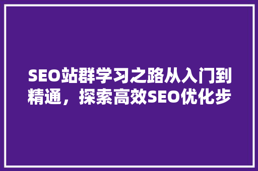 SEO站群学习之路从入门到精通，探索高效SEO优化步骤 神马SEO