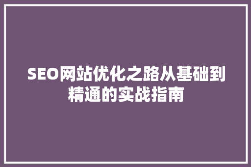 SEO网站优化之路从基础到精通的实战指南 必应SEO