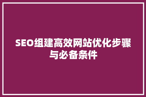SEO组建高效网站优化步骤与必备条件 必应SEO