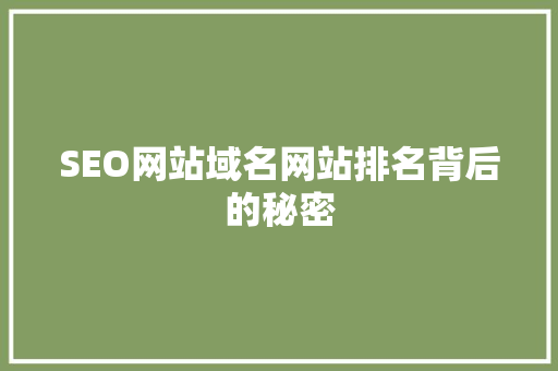 SEO网站域名网站排名背后的秘密 百度SEO