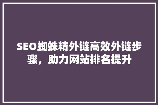 SEO蜘蛛精外链高效外链步骤，助力网站排名提升 百度SEO