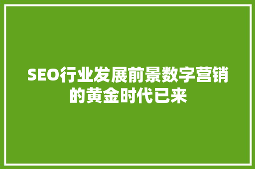 SEO行业发展前景数字营销的黄金时代已来 必应SEO