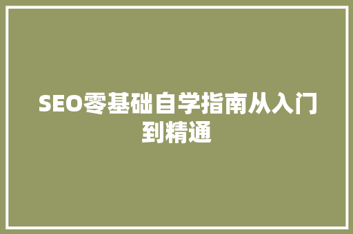 SEO零基础自学指南从入门到精通 SEO关键词
