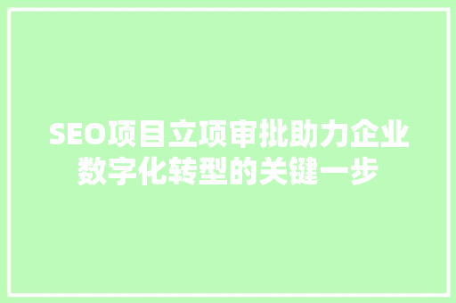 SEO项目立项审批助力企业数字化转型的关键一步 SEO关键词