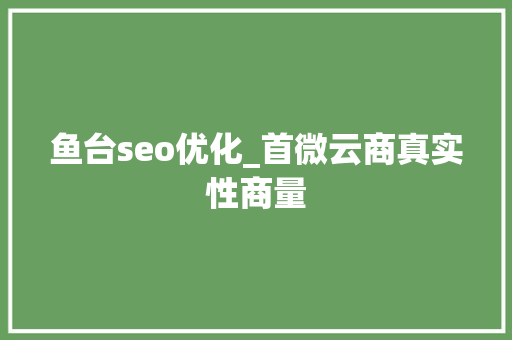 鱼台seo优化_首微云商真实性商量