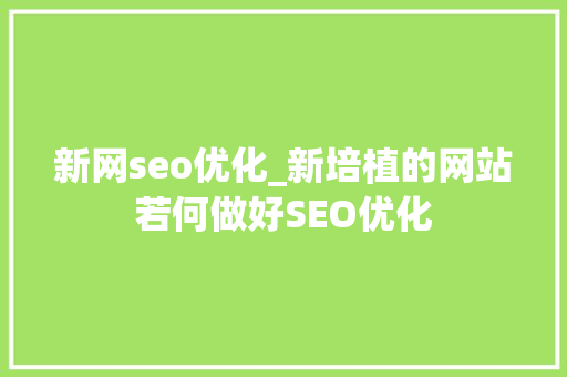 新网seo优化_新培植的网站若何做好SEO优化 新网seo优化_新培植的网站若何做好SEO优化 网站建设公司