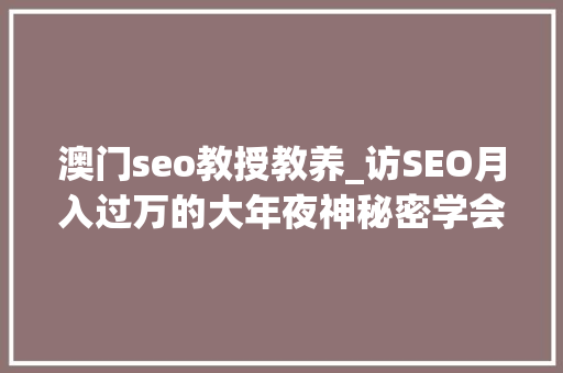 澳门seo教授教养_访SEO月入过万的大年夜神秘密学会包用生平
