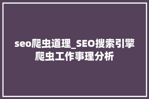 seo爬虫道理_SEO搜索引擎爬虫工作事理分析 seo爬虫道理_SEO搜索引擎爬虫工作事理分析 网站建设公司