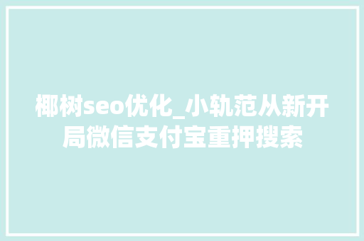 椰树seo优化_小轨范从新开局微信支付宝重押搜索 椰树seo优化_小轨范从新开局微信支付宝重押搜索 神马SEO