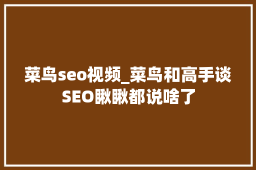 菜鸟seo视频_菜鸟和高手谈SEO瞅瞅都说啥了 菜鸟seo视频_菜鸟和高手谈SEO瞅瞅都说啥了 百度SEO