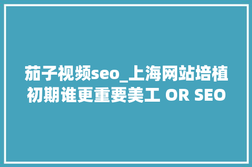 茄子视频seo_上海网站培植初期谁更重要美工 OR SEO 茄子视频seo_上海网站培植初期谁更重要美工 OR SEO 百度SEO