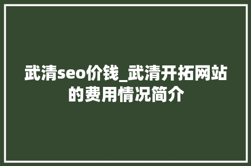 武清seo价钱_武清开拓网站的费用情况简介
